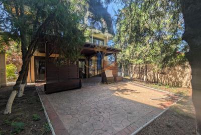 Spatiu comercial / Vilă 472mp utili / Băneasa / Sisesti - 17