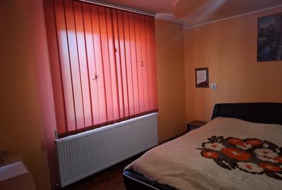 Proprietate mixtă de vânzare în Nădlac – Casă modernă + hală/grajd + teren mare - 13