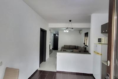 Apartament Herastrau Baneasa 2 camere cu terasa - 10
