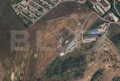 Teren Construcții intravilan de 23000 mp, în Apahida