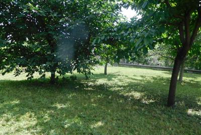 Duplex disponibil la vanzare, zona frumoasa - 14