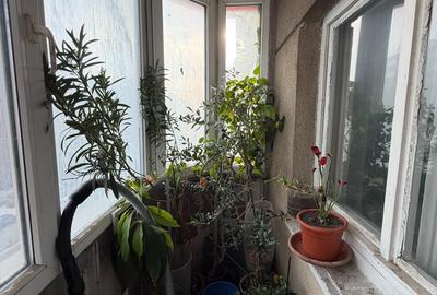 Vanzare apartament 4 camere Calea Mosilor - 6