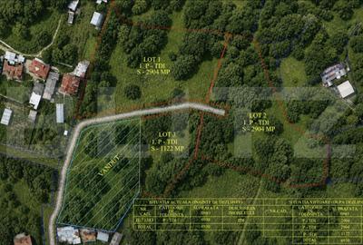 Teren Construcții intravilan de 1122 mp, în Râu Alb de Jos
