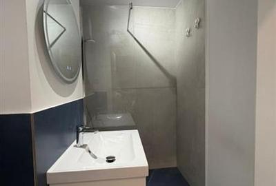 Piata Victoriei, apartament  2 camere, mobilat si utilat - 10