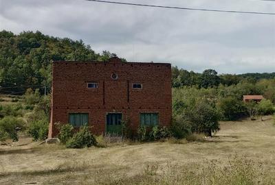 Teren Construcții intravilan de 6354 mp, în Mihăileni