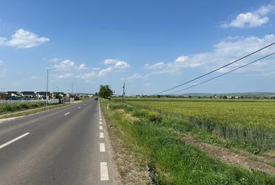 Teren 18.100 mp pentru dezvoltare in Sura Mica / jud. Sibiu - 2