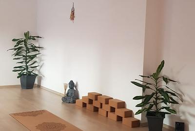 Studio sau birouri mansarda Universitate - strada Sfintilor 6 - 12