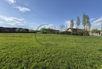 Teren 9500 mp plus Casa plus Anexe Gospodaresti - 3
