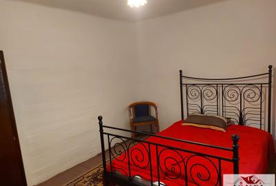 Casa de vanzare in Muntii Apuseni - Horea - 6