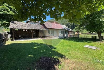 De vanzare | Teren 5412mp , Scoala Sabasa | Borca | Neamt - 1