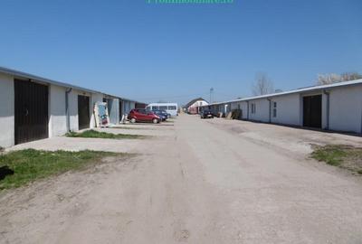 Hale de inchiriat intre 100-1000 mp in Arad - 13