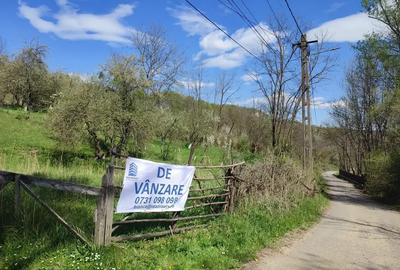 Teren intravilan de 1200 mp, în Provița de Sus