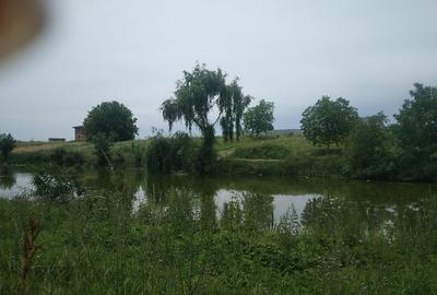 SPATIU DE INCHIRIAT -COMUNA BERCENI -VIDRA - 18