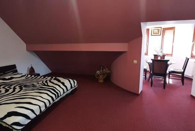 Casa de vacanta sau pensiune situata langa Cabana Trei Brazi Predeal - 26