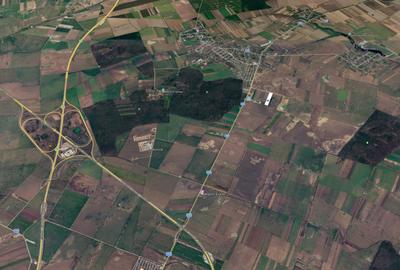 Teren 37.268 mp, intravilan, Ilfov — langa pădurea  Dascălu - 2