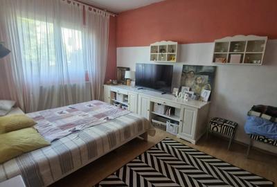 Vila eleganta in Bucurestii Noi - 5 camere, 300 mp teren, strada Barlogeni - 6