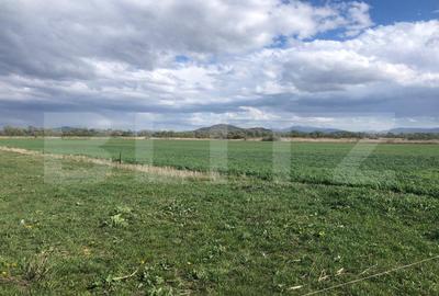 Teren agricol extravilan de 50000 mp, în Bod