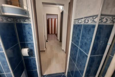 INCHIRIERE 2 CAM DRUMUL TABEREI- VALEA IALOMITEI - 12