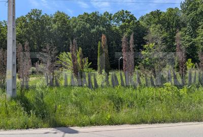 Teren Construcții intravilan de 957 mp, în Valea Mare