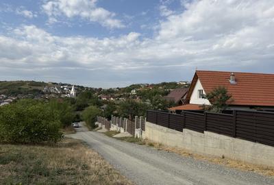 Oportunitate pentru dezvolatatori, 5800 m2, front de 52 m - 4