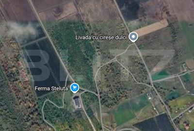 Teren agricol extravilan de 506 mp, în Iris