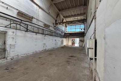 Spațiu industrial, în Iris