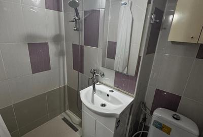 TOMIS NORD CIRESICA 2 CAMERE 350 EURO TERMEN LUNG - 6
