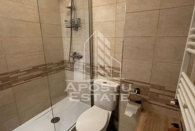 Apartament cu 3 camere de inchiriat, Timisoara, City of Mara - 21