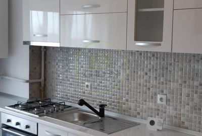 Apartament 2 camere de inchiriat Doamna Stanca - 13