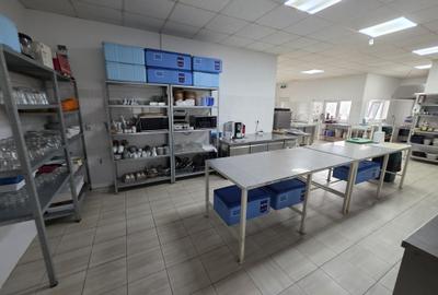 Oportunitate de investiție – Restaurant Cebza - 7