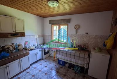 Casa de vacanta /Cabana de vanatoare  Soveja - Vrancea - 5