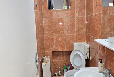 Delfinariu, Bd. Mamaia-str.Ioan Murgescu,spațiu comercial 185 mp de închiriat - 9