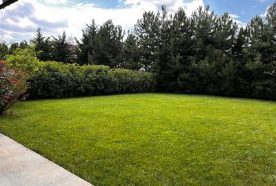Furnished fully equipped G+2 villa 2014 building, 5 terraces, 700sqm plot Pipera - 29
