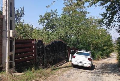 Pietrarie Vila P+1 s=164mp garaj beci teren 2000mp livada vie zona verde - 13