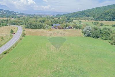 Teren de 4.000 mp cu deschidere la DN73A – Cheile Rasnoavei - 5