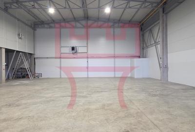 Inchiriere hala cu ISU zona Baciu  + platforma betonata 1.000mp - 5