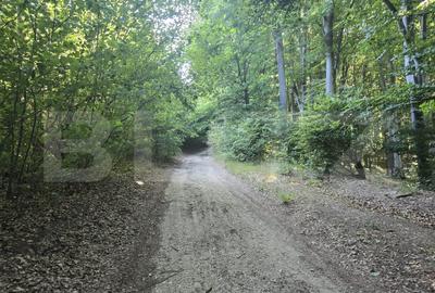 Teren agricol extravilan de 782 mp, în Ciurila