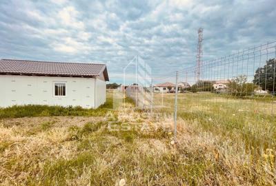 Teren Intravilan cu Constructie Zimandu Nou - 25