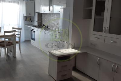 Apartament 2 camere de inchiriat Doamna Stanca - 9