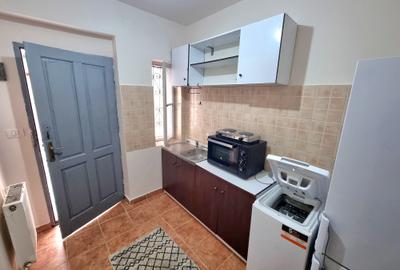 Apartament cu 1 cameră, foarte spațios, parter, clădire istorică, zona Traian - 2