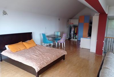 Casa / vila Craiovei , RENOVATA /mobilata/utilata ,finisaje superioare - 36