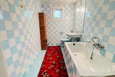Casa spatioasa cu teren 739 mp in zona Mehala - 19
