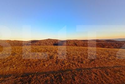 Teren agricol extravilan de 8600 mp, în Sălicea