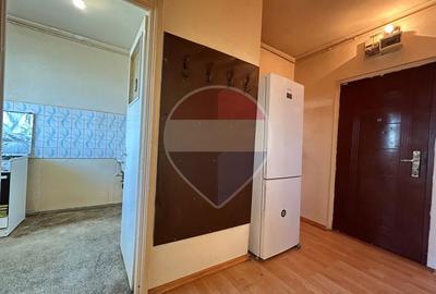 Apartament 2 camere, Metrou 1 Mai Chibrit-Domenii Renovabil Luminos - 11