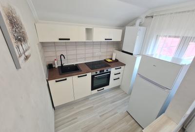 Apartament Modern cu 2 camere in Vila - Curte - Centrala pe Gaz - Termen lung - 5