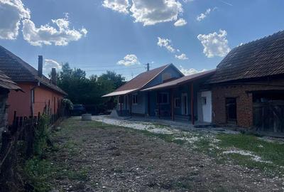 Casa renovata cu teren si anexe in Birtin - 13