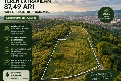 Teren Construcții extravilan de 8748 mp, în Valea Borcutului