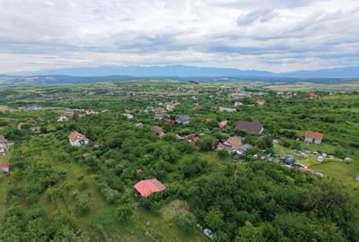 Teren intravilan 1000 mp in Sibiu Daia Noua - 1