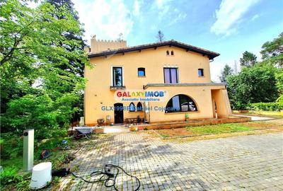 Vila stil florentin pe malul lacului,teren4043mp iesire la lac de 25ml - 7