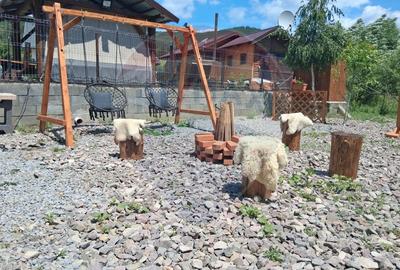 Refugiu în natură, Cătrușa Covasna – cabană cu potențial turistic - 6